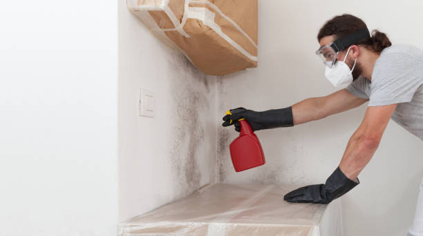 Professional Bathroom Mold Removal technician working in Richland, MI