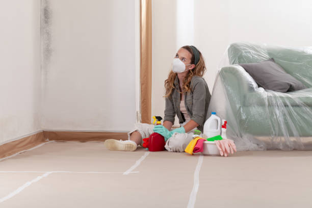 Reliable Bathroom Mold Removal contractor in Richland, MI by Mold Remediation HQ